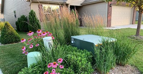 best plants around electrical box|landscaping to hide utility box.